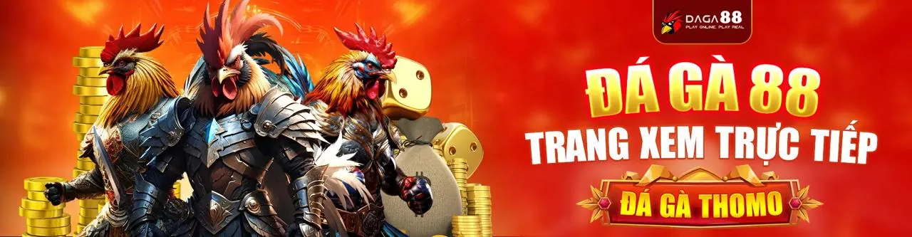 Đá gà trực tuyến CM8842 - Trận đấu kịch tính