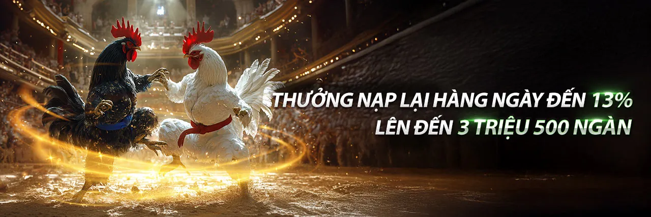 CM8842 Nền tảng cá cược trực tuyến hàng đầu